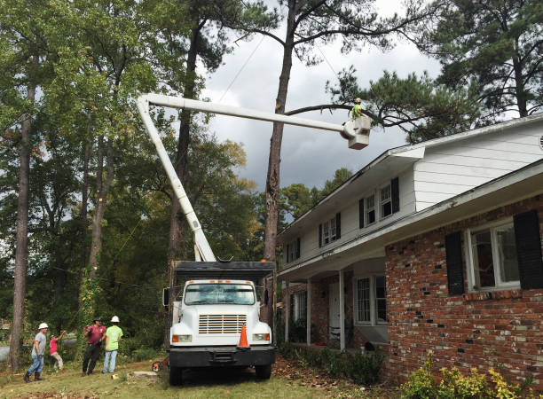 Best Aeration Services  in Belvidere, NJ